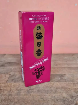 Morning Star Rose 200 Stk.