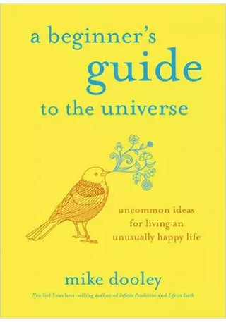 A Beginner's Guide to the Universe