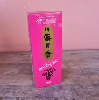 Morning Star Lotus 200 Stk.