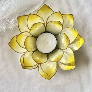 Lotuslys Medium Gul