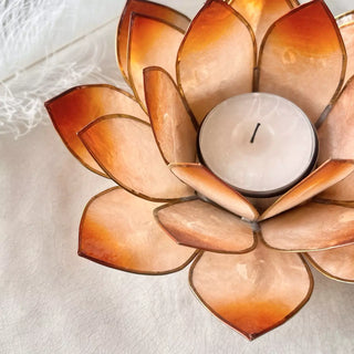 Lotuslys Medium Oransje