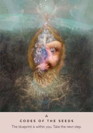 The Rose Oracle