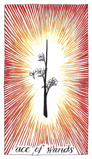 The Wild Unknown Tarot Pocket