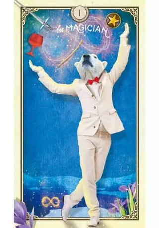 The Tarot of Curious Creatures