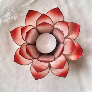 Lotuslys Medium Rød