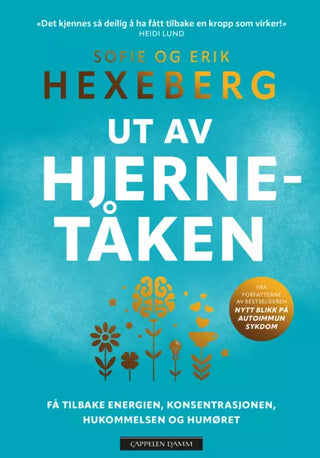 Ut av Hjernetåken
