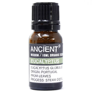Ancient Wisdom Eukalyptus Økologisk (10 ml)