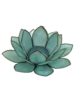 Lotuslys turkis medium