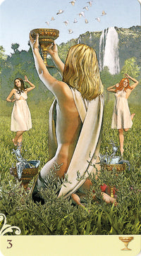 Vice Versa Tarot