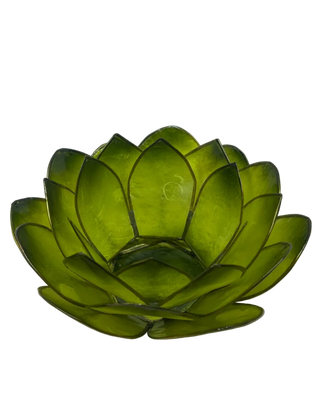 Lotuslys grønn rund