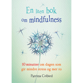 En Liten Bok Om Mindfulness