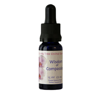Sorcerer's Apprentice Essens (15 ml)