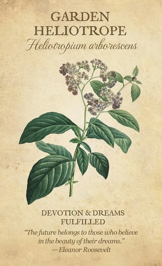 Botanical Inspirations