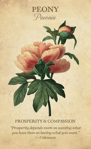 Botanical Inspirations
