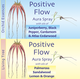 Positive Flow Aura Spray 100ml Blå