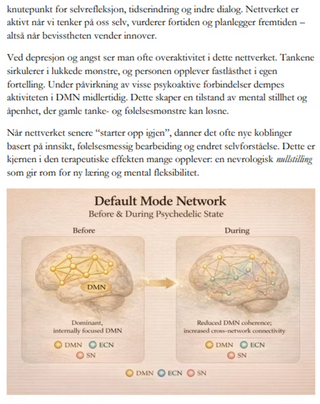 Psykoaktive Vekster i Mental og Psykisk Helse