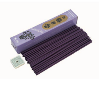 Morning Star Lavendel