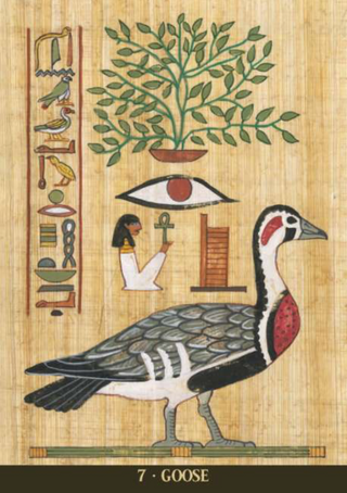 EGYPTIAN SACRED ANIMALS ORACLE cards