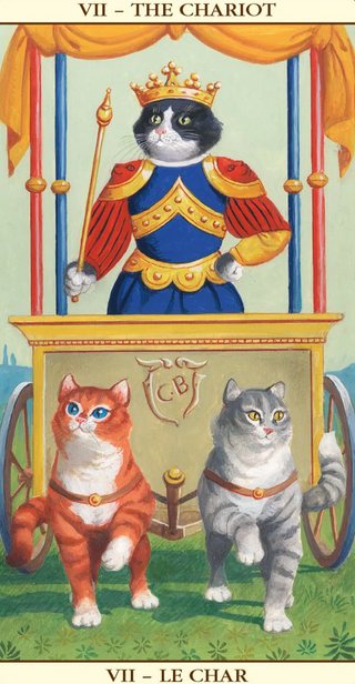 Marseille Cat Tarot
