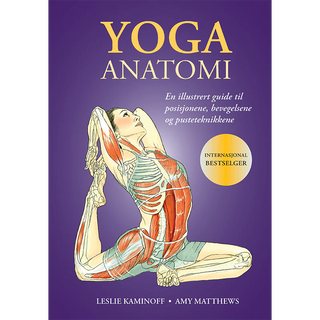 Yoga Anatomi