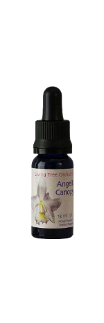 Angelic Canopy Essens (15 ml)