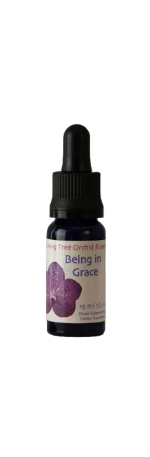 Being in Grace Essens (15 ml)