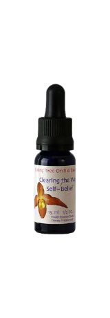 Clearing the way/self belief Essens (15 ml)
