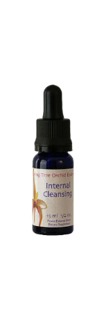 Internal Cleansing essens (15 ml)