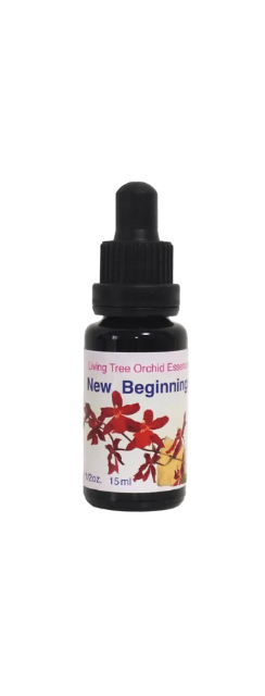New Beginnings Essens (15 ml)