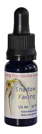 Shadow Facing Essens (15 ml)