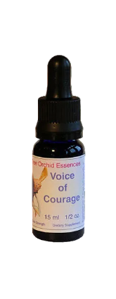 Voice of Courage Essens (15 ml)